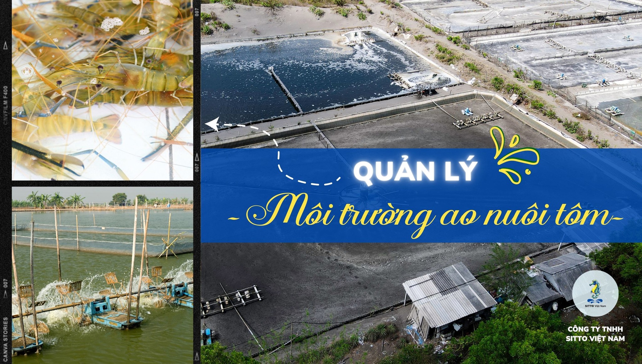 Quản lý môi trường ao nuôi - Một số yếu tố môi trường cần phải giám sát khi nuôi