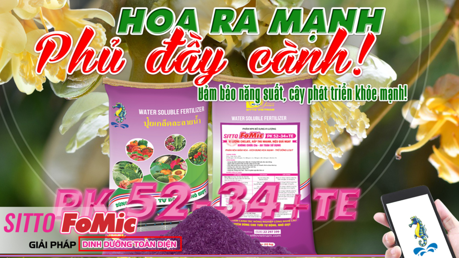 Hướng dẫn các bước chuẩn bị và quy trình xử lý ra hoa sầu riêng