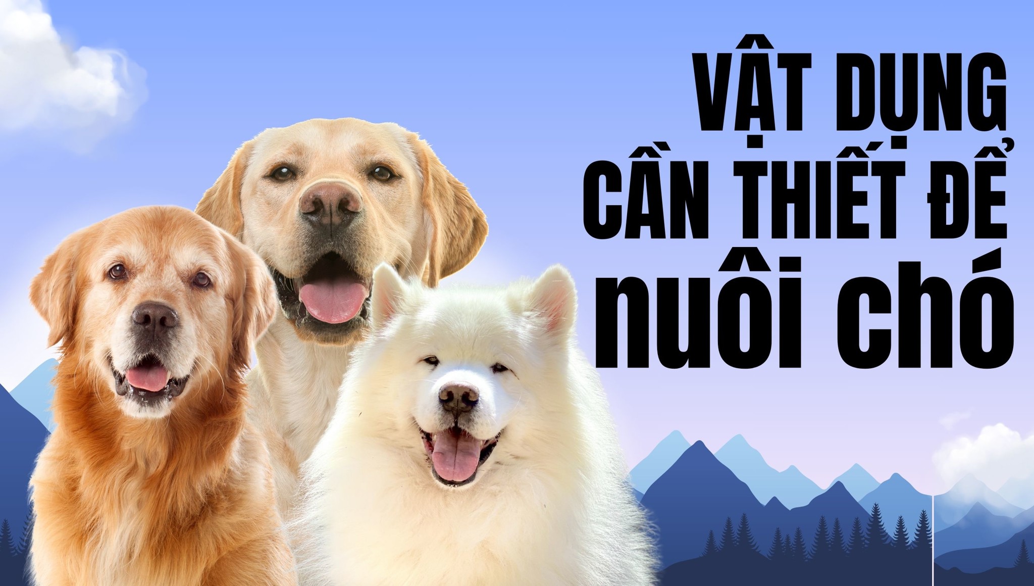 Vật dụng khi nuôi chó – Hướng dẫn chi tiết đầy đủ nhất