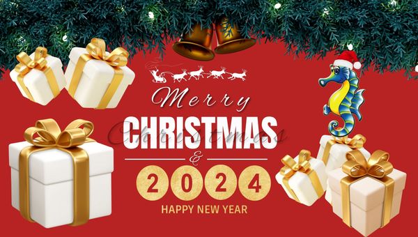 Sitto Việt Nam chào mừng giáng sinh và năm mới 2024