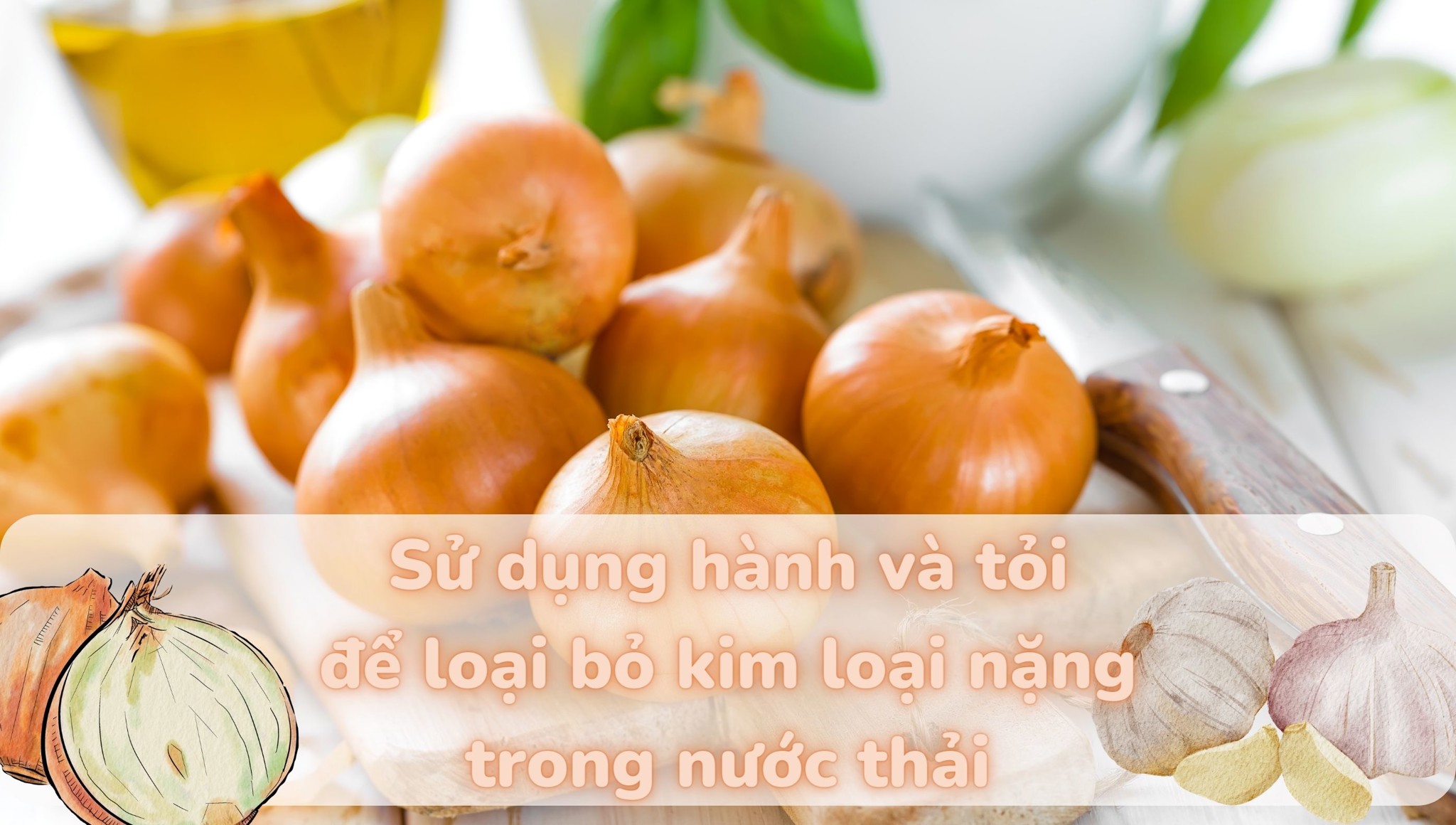 Sử dụng hành và tỏi để loại bỏ kim loại nặng trong nước thải