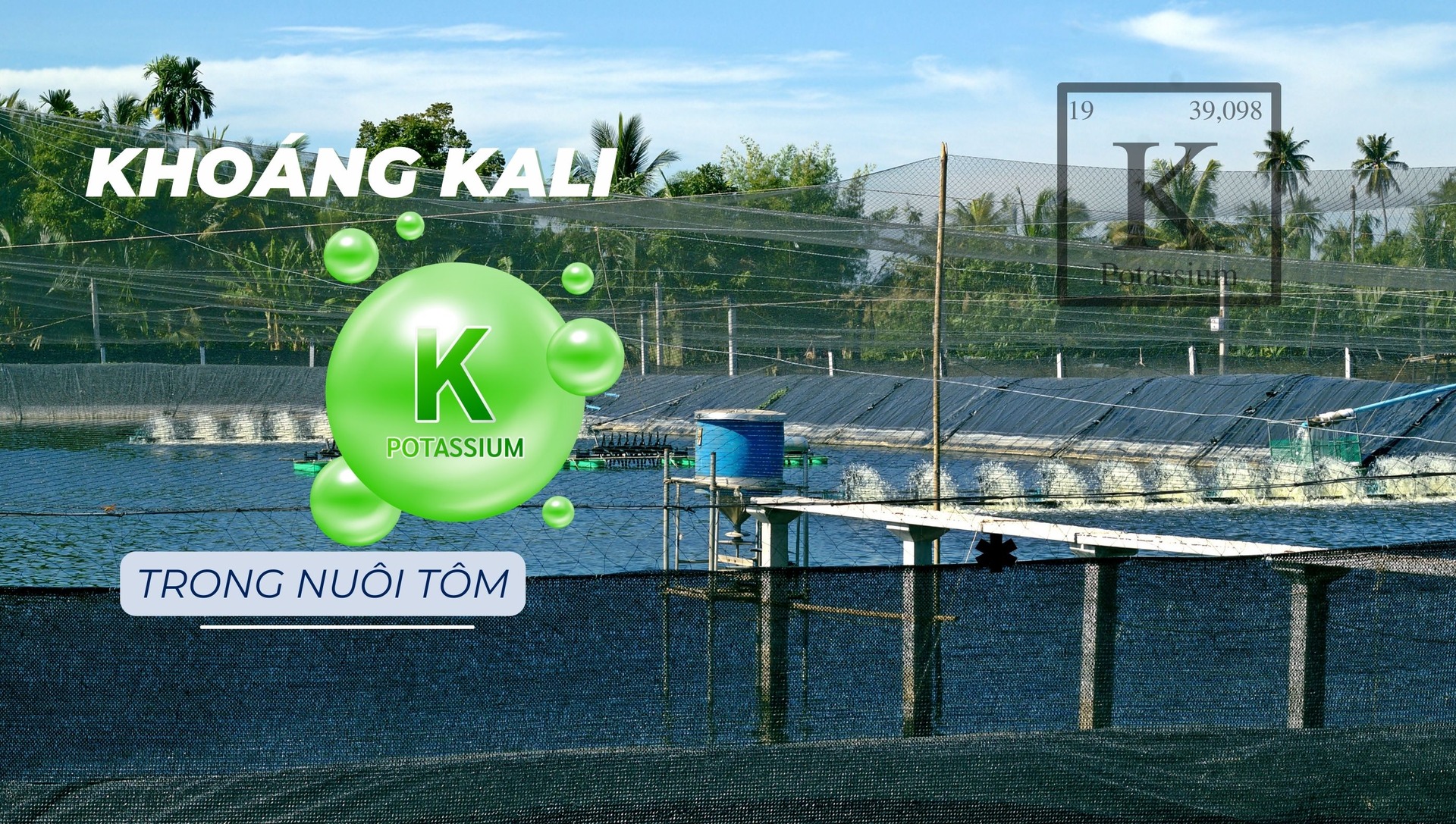 Khoáng Kali (K+) trong nuôi tôm