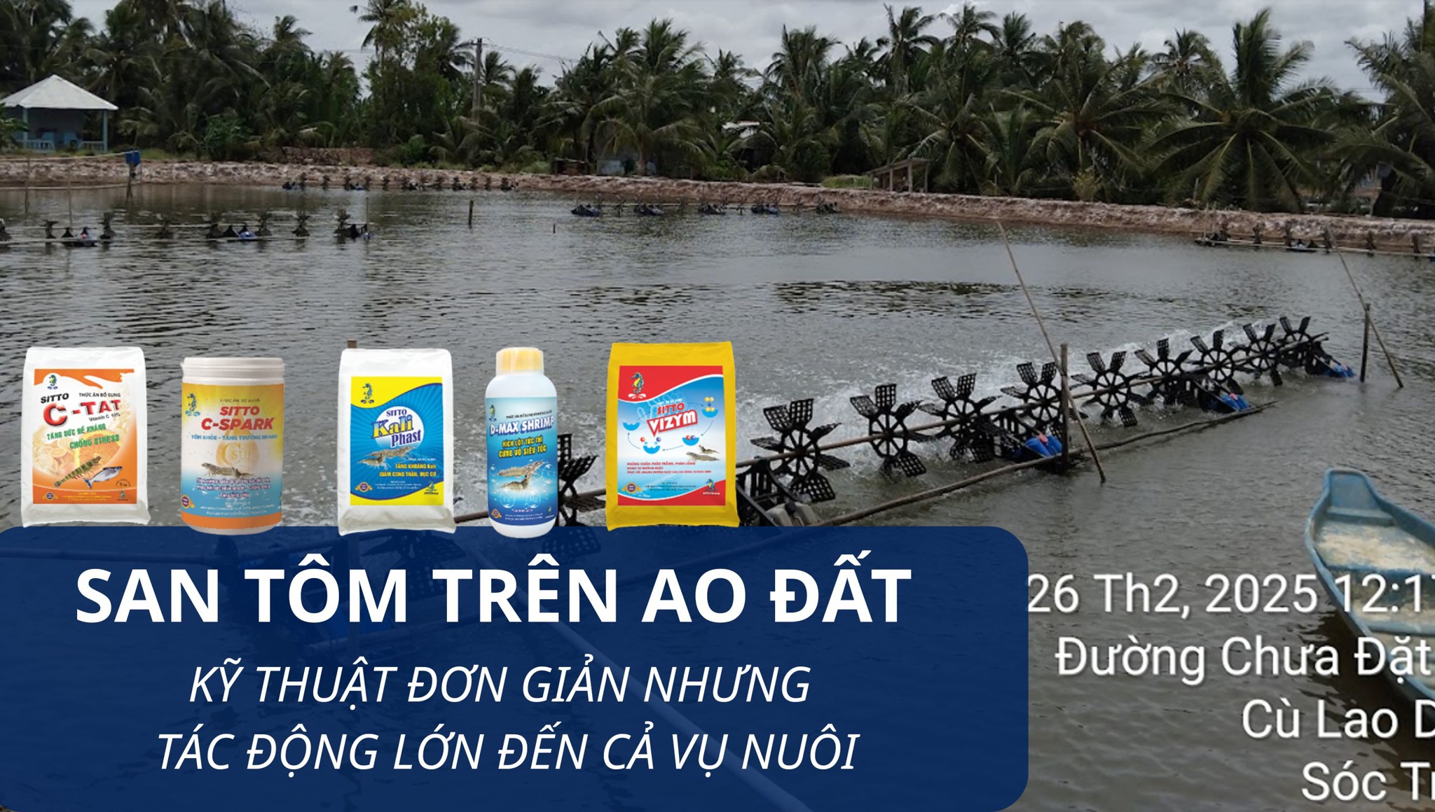 SAN TÔM TRÊN AO ĐẤT – KỸ THUẬT ĐƠN GIẢN NHƯNG TÁC ĐỘNG LỚN ĐẾN CẢ VỤ NUÔI