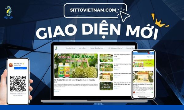 Website sittovietnam.com đã cập nhật giao diện mới!!!