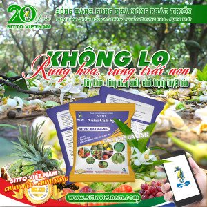 Biện Pháp Chăm Sóc Cây Trồng Hạn Chế Rụng Hoa, Rụng Trái | SITTO eShop