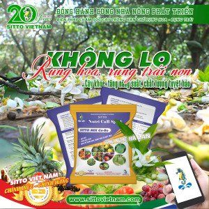 Biện pháp chăm sóc cây trồng hạn chế rụng hoa, rụng trái