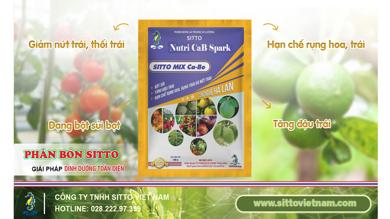 SITTO MIX Ca-Bo – TĂNG ĐẬU TRÁI, HẠN CHẾ RỤNG HOA, RỤNG TRÁI VÀ NỨT TRÁI