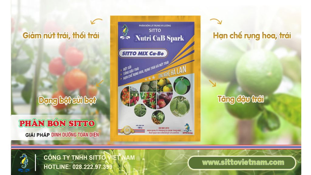SITTO MIX Ca-Bo – TĂNG ĐẬU TRÁI, HẠN CHẾ RỤNG HOA, RỤNG TRÁI VÀ NỨT TRÁI