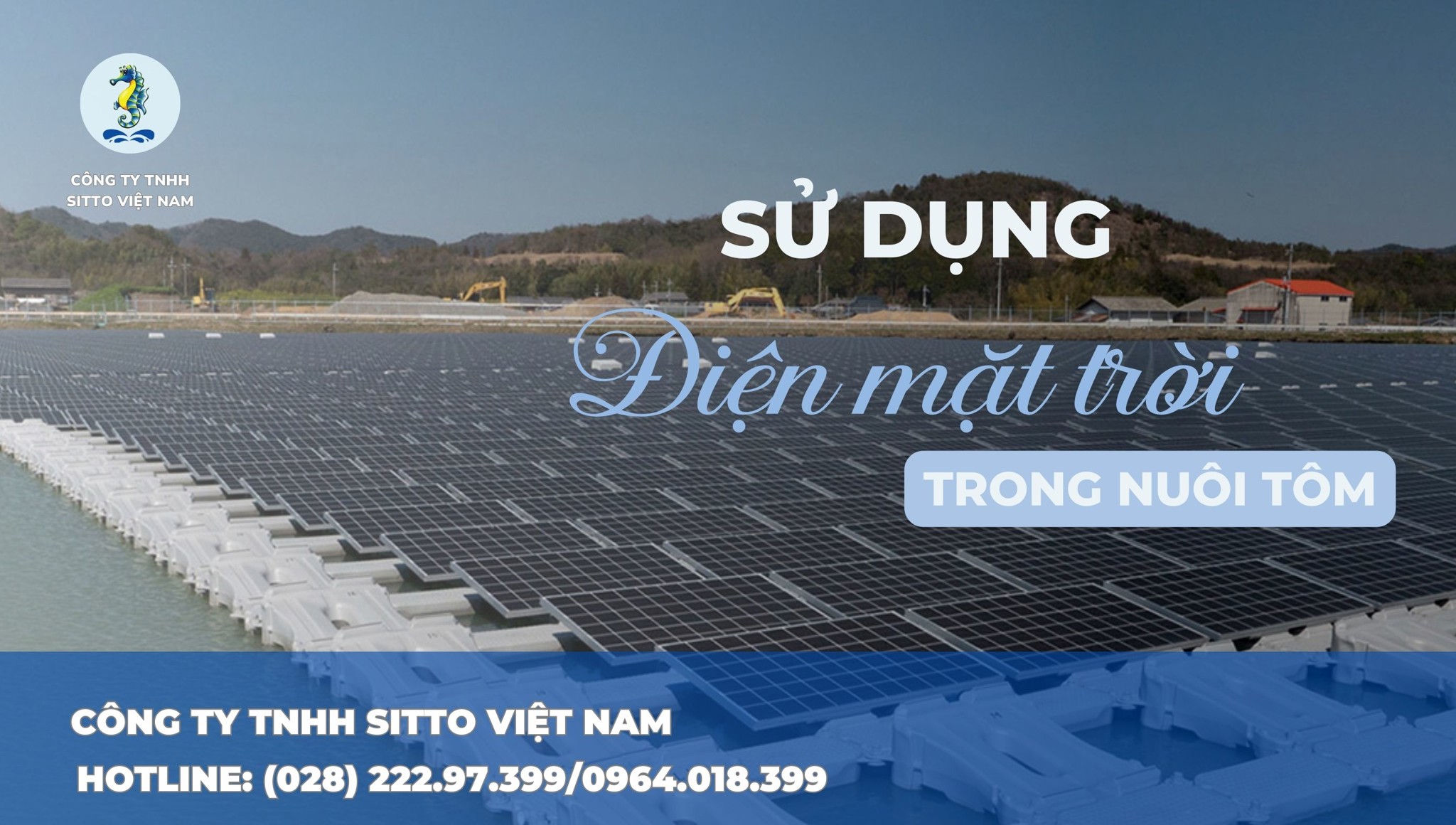 Sử dụng điện mặt trời trong nuôi tôm: Giải pháp nuôi tôm hiệu quả và bền vững
