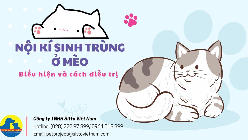 Nội kí sinh trùng ở mèo: Nguyên nhân, biểu hiện, cách điều trị