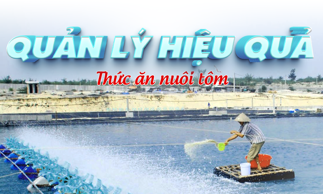 Quản Lý & Nâng Cao Hiệu Quả Sử Dụng Thức Ăn Cho Tôm Tăng Đề Kháng | SITTO eShop