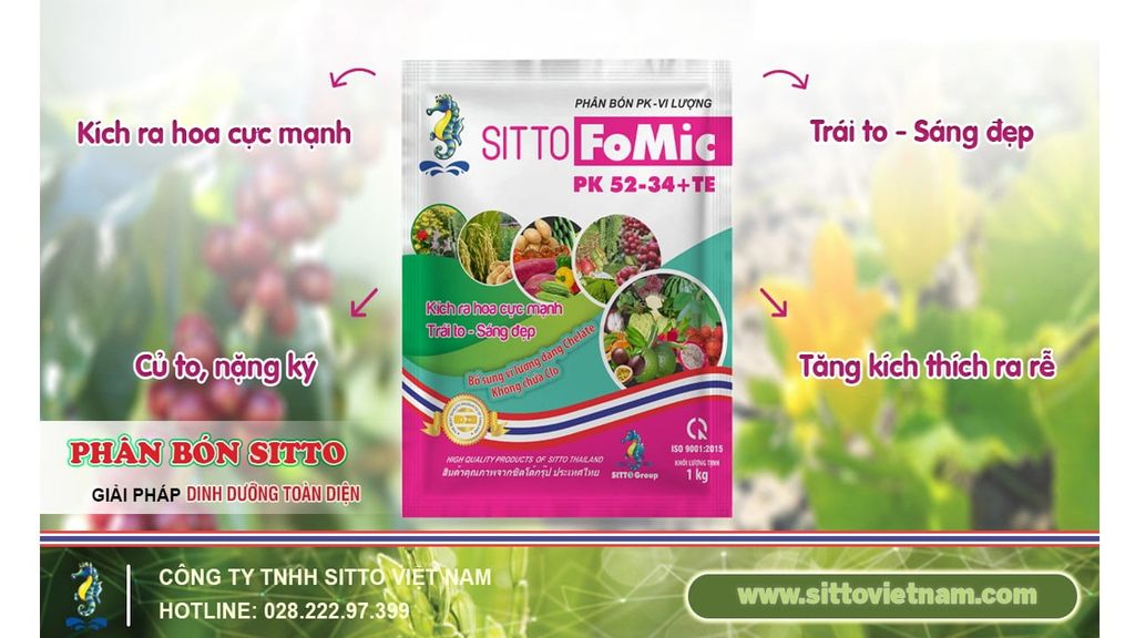SITTO FOMIC PK 52-34+TE – SIÊU TẠO MẦM, KÍCH RA HOA MÙA NGHỊCH