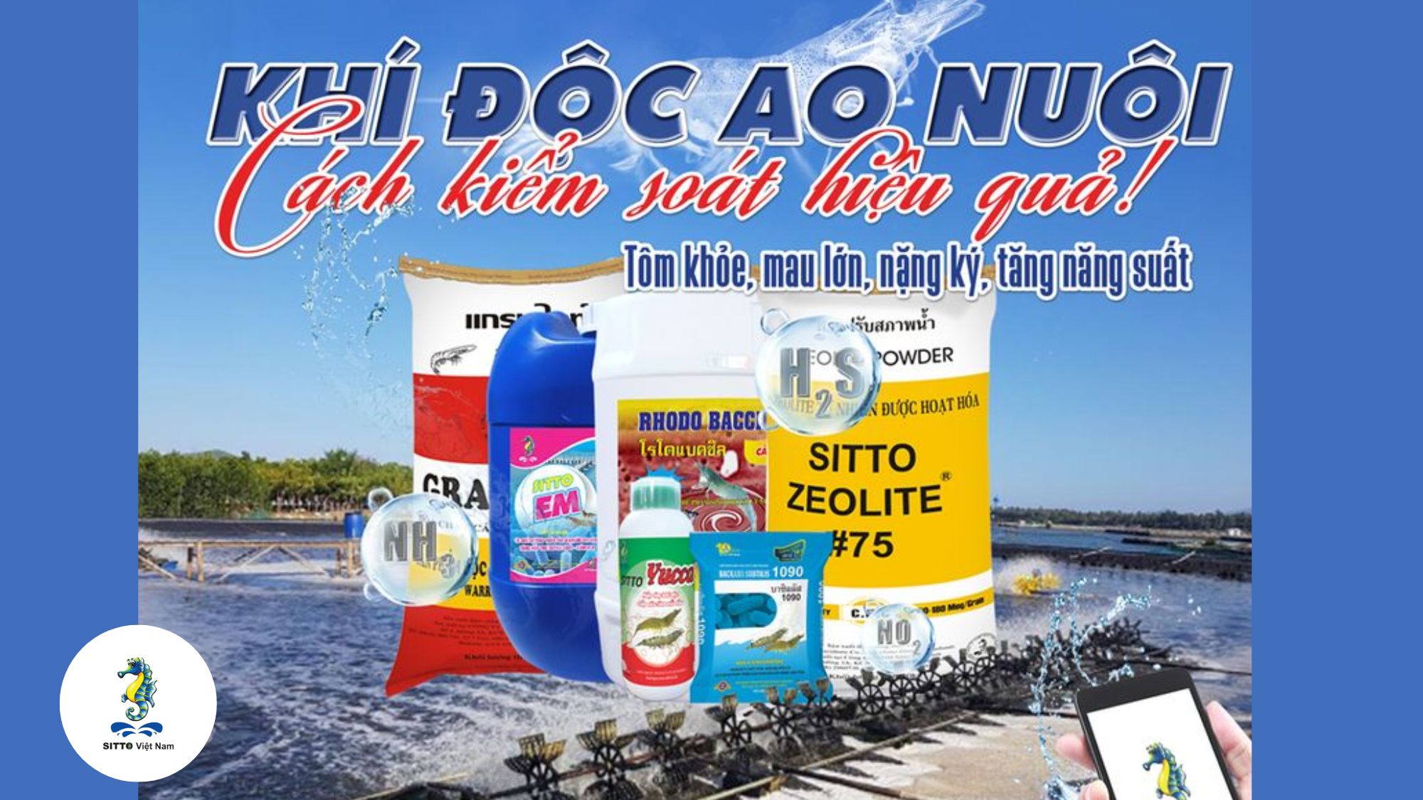 Tác hại của khí độc và giải pháp khắc phục trong nuôi tôm