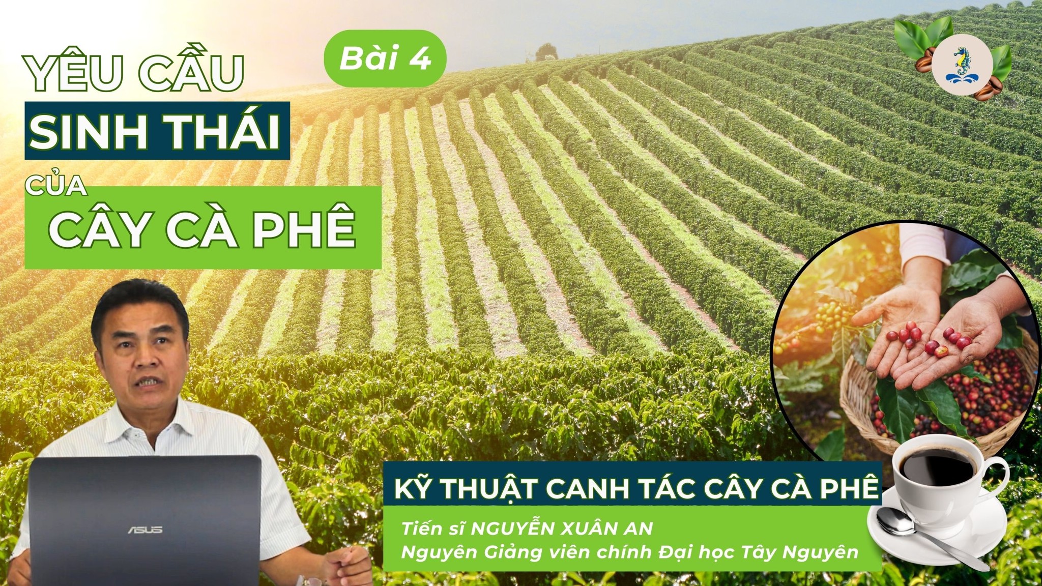 Yêu cầu sinh thái của cây cà phê | Kỹ thuật canh tác cây cà phê