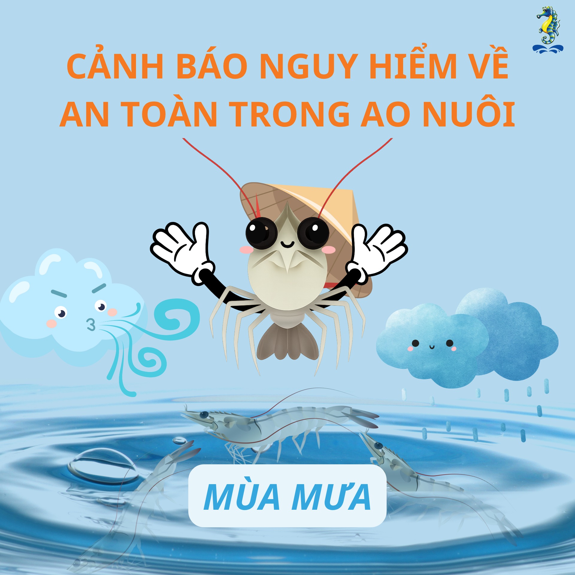 Cảnh báo nguy hiểm về an toàn điện và an toàn lao động trong ao nuôi tôm