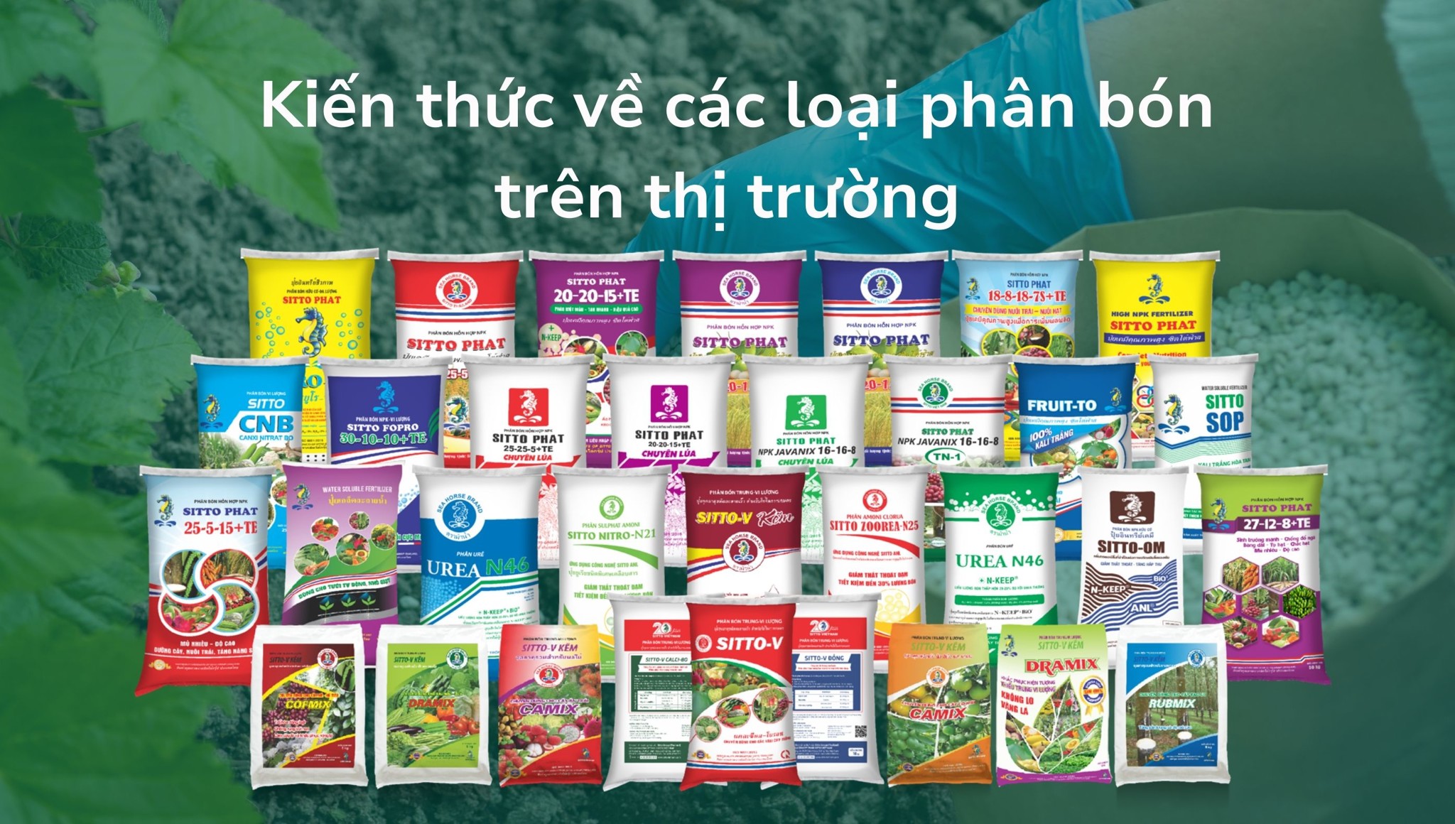 Phân bón là gì? Khái niệm và kiến thức về các loại phân bón trên thị trường