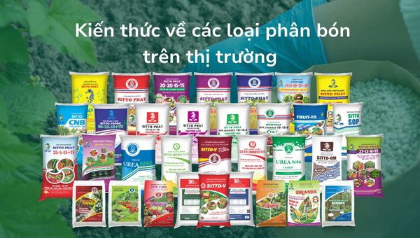 Phân bón là gì? Khái niệm và kiến thức về các loại phân bón trên thị trường