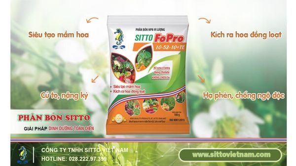 SITTO FOPRO 10-52-10+TE – SIÊU TẠO MẦM HOA, KÍCH RA HOA ĐỒNG LOẠT