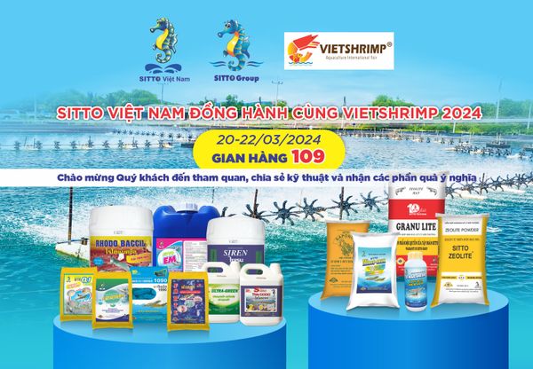 Sitto Việt Nam đồng hành cùng VIETSHRIMP 2024