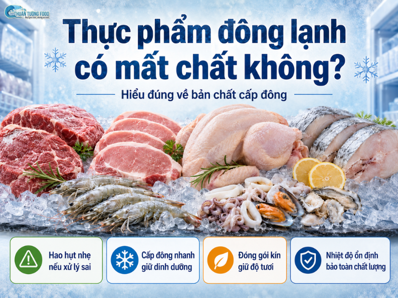 thuan-tuong-food-thuc-pham-dong-lanh-co-mat-chat-khong-hieu-dung-ve-ban-chat-cap-dong