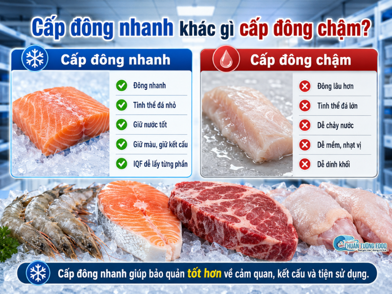 thuan-tuong-food-so-voi-cap-dong-cham-cap-dong-nhanh-khac-biet-o-diem-nao