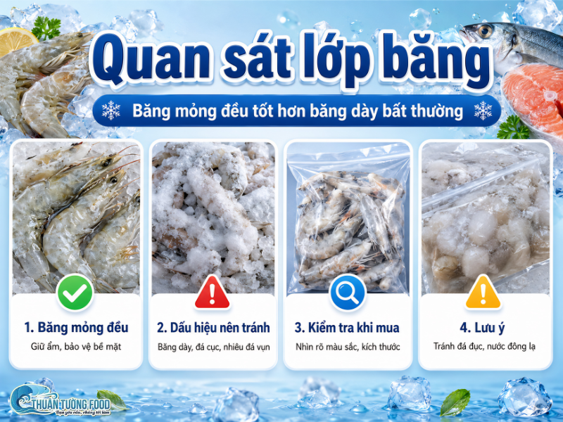 thuan-tuong-food-quan-sat-lop-bang-bang-mong-deu-tot-hon-bang-day-bat-thuong