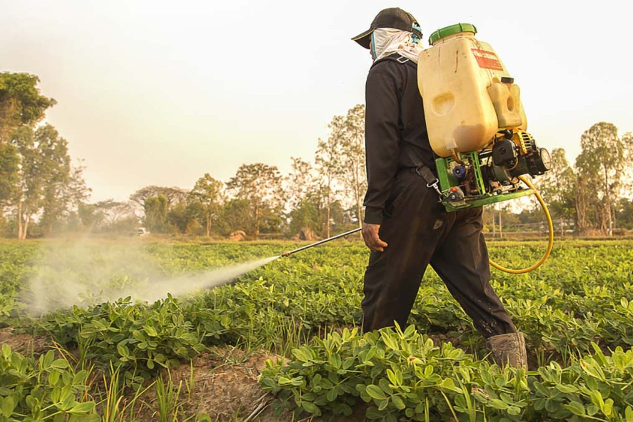 Thực trạng thực phẩm không an toàn ở nước ta