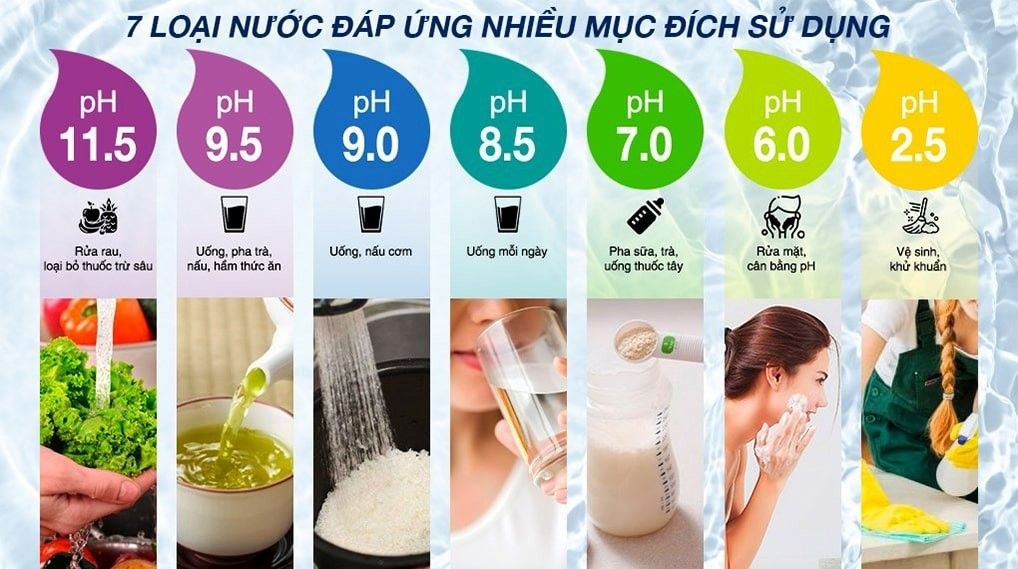 Tầm quan trọng của việc chống oxy hóa được xem là ưu tiên hàng đầu trong xã hội hiện nay