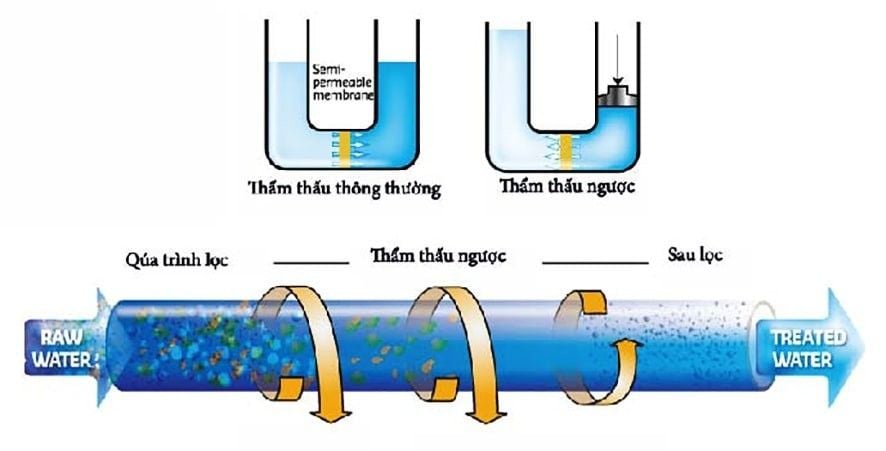 Máy lọc nước RO nóng lạnh đang là sản phẩm nhận được nhiều sự quan tâm của khách hàng