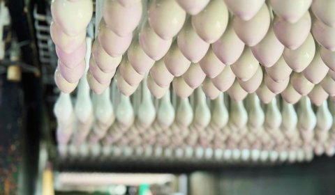 Chuyên sỉ bong bóng chất lượng cao