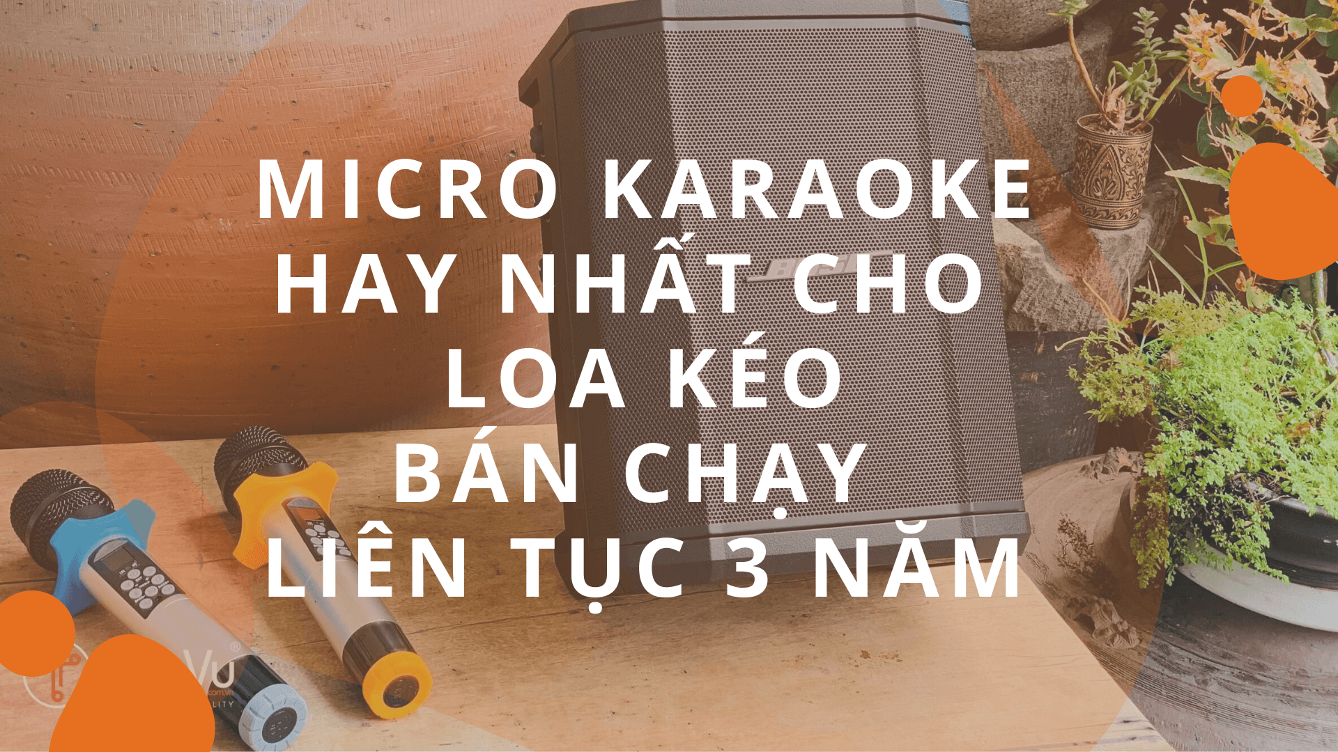 Micro Karaoke Cho Loa Kéo Hay Nhất Hiện Nay, Có Echo Tích Hợp