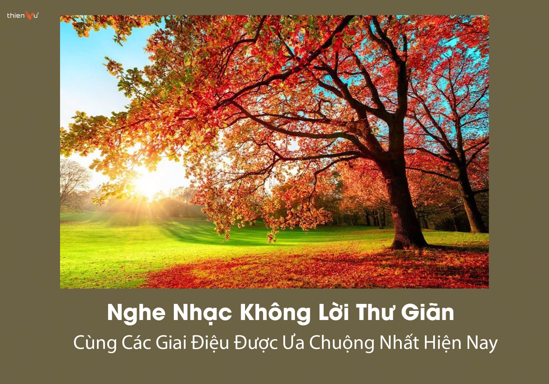 Nghe Nhạc Không Lời Thư Giãn Cùng Các Giai Điệu Được Ưa Chuộng Nhất Hiện Nay