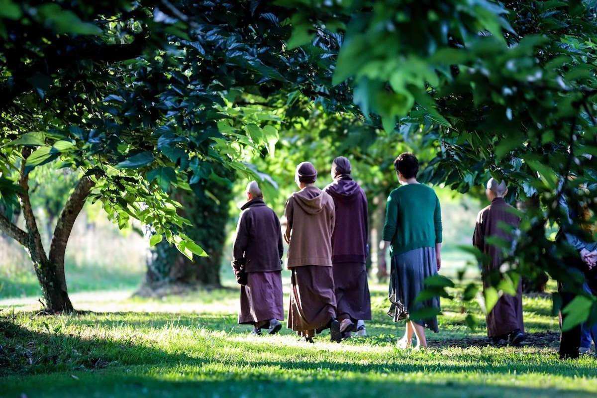 đi bộ trong chánh niệm