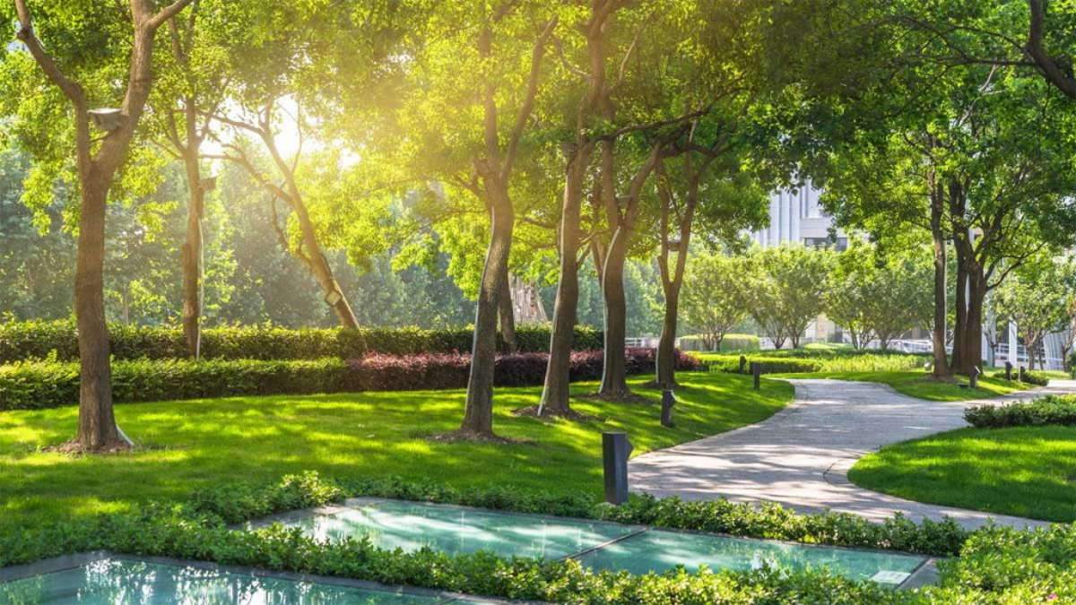 sống gần thiên nhiên