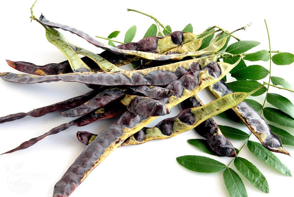 gội đầu bằng bồ kết