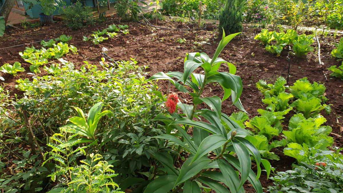 ngồi thiền trong khu vườn