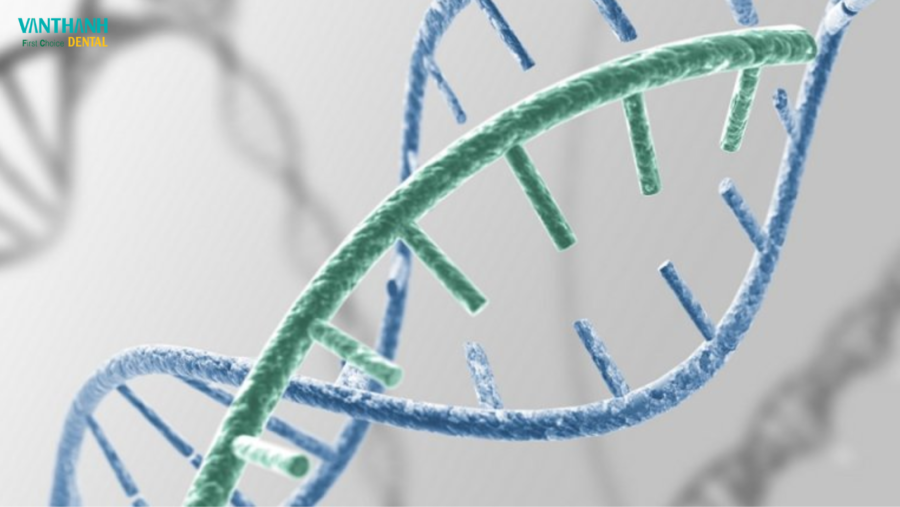 Hội chứng mùi cá (Trimethylaminuria) và hơi thở có mùi tanh