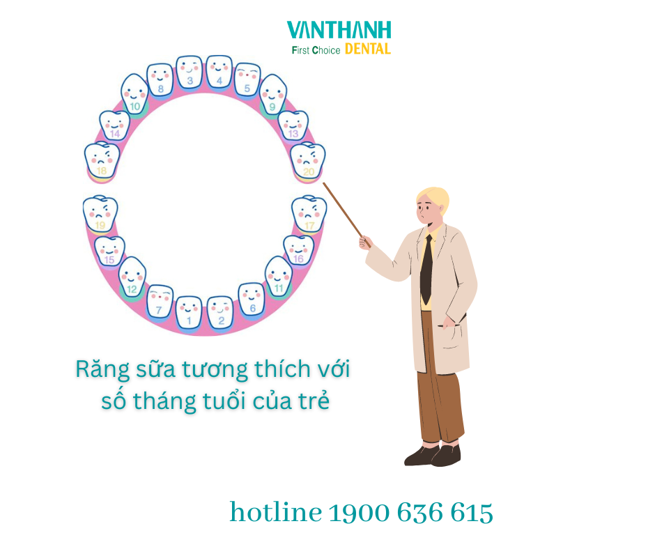 MỐI LIÊN KẾT GIỮA RĂNG SỮA VÀ DẤU HIỆU TỰ KỶ Ở TRẺ