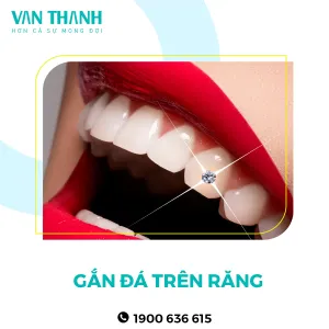 Thẩm mỹ 11