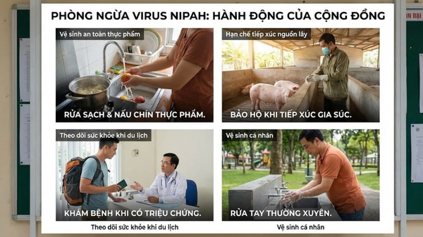 virus nipah là gì và cách phòng tránh