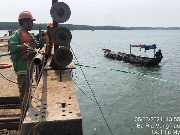 Hình ảnh bài viết