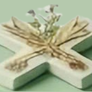 Herbal medicine