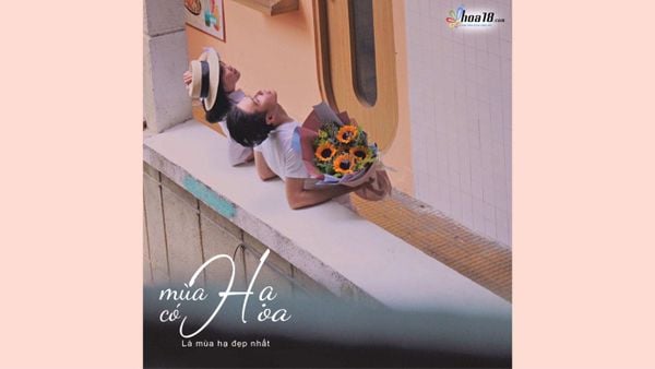 Mùa Hạ Có Hoa Là Mùa Hạ Đẹp Nhất
