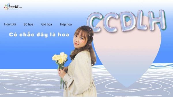 Chắn Chắn Đây Là Hoa