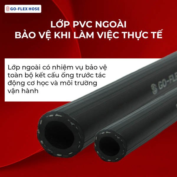 ong-hoi-1-bo