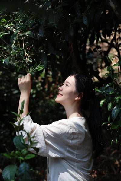 Tôi Yêu Trà