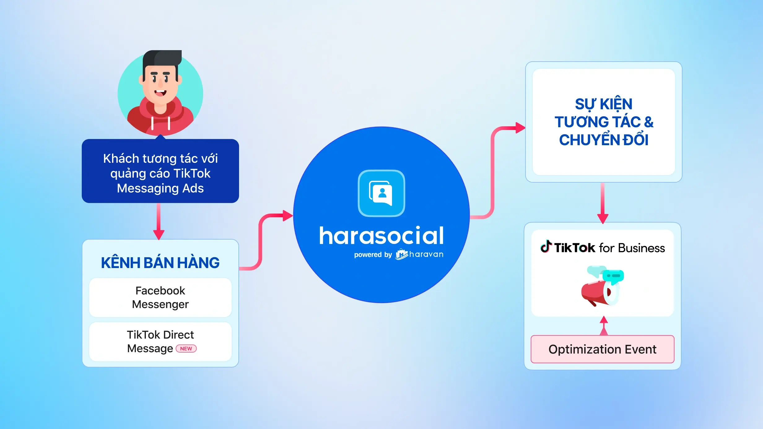 Cách Harasocial hỗ trợ tối ưu TikTok Ads
