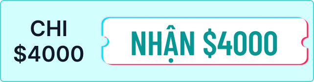 TikTok Messaging Ads