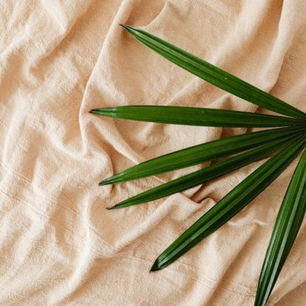 bamboo fabric
