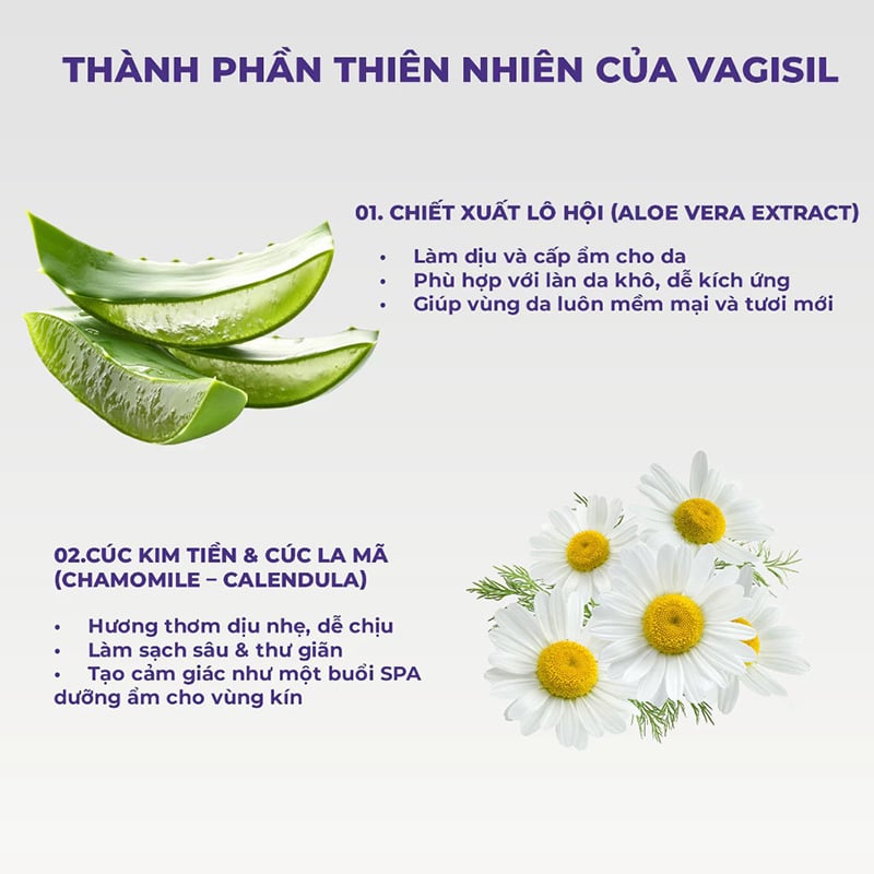 thegioiskinfood.com - Vagisil Ultra Fresh Daily Intimate Wash 240ml (chai tím)